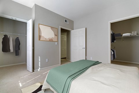 a master bedroom with a closet and a bed and a walk in closet
