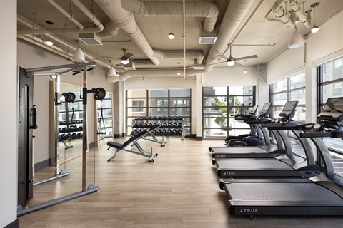 A gym with treadmills and weights.