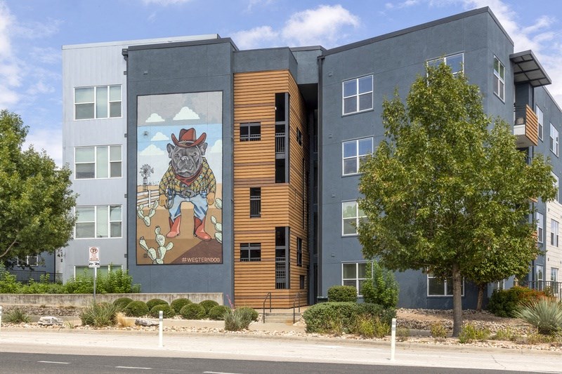 a mural of a bull on the side of a building