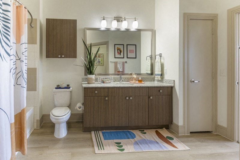 a bathroom with a toilet and a sink and a mirror