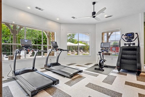 the gym has plenty of cardio equipment and large windows