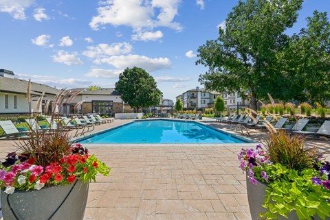 A pool surrounded by chairs and flowers with a building in the background.