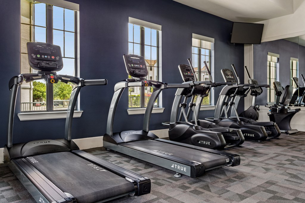 a row of treadmills in a gym with windows