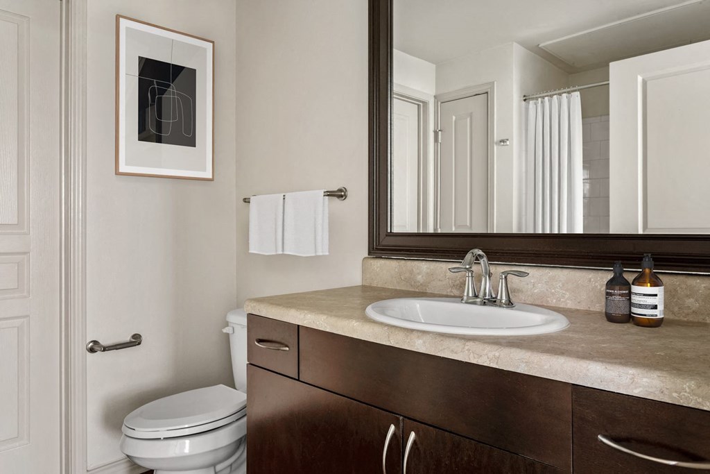a bathroom with a sink and a toilet and a mirror