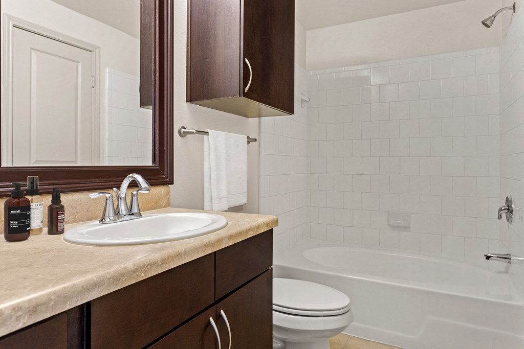 a bathroom with a sink and a toilet and a bath tub