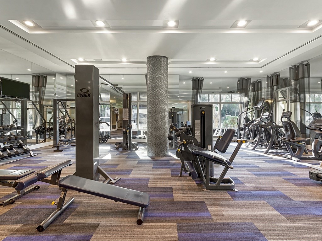 a spacious fitness center with cardio machines and other exercise equipment