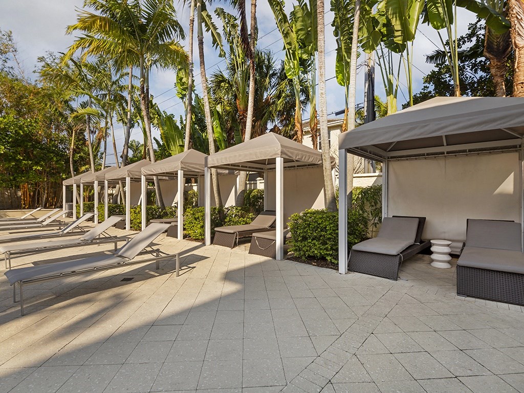 a row of lounge chairs and umbrellas on a patio with palm trees in the background