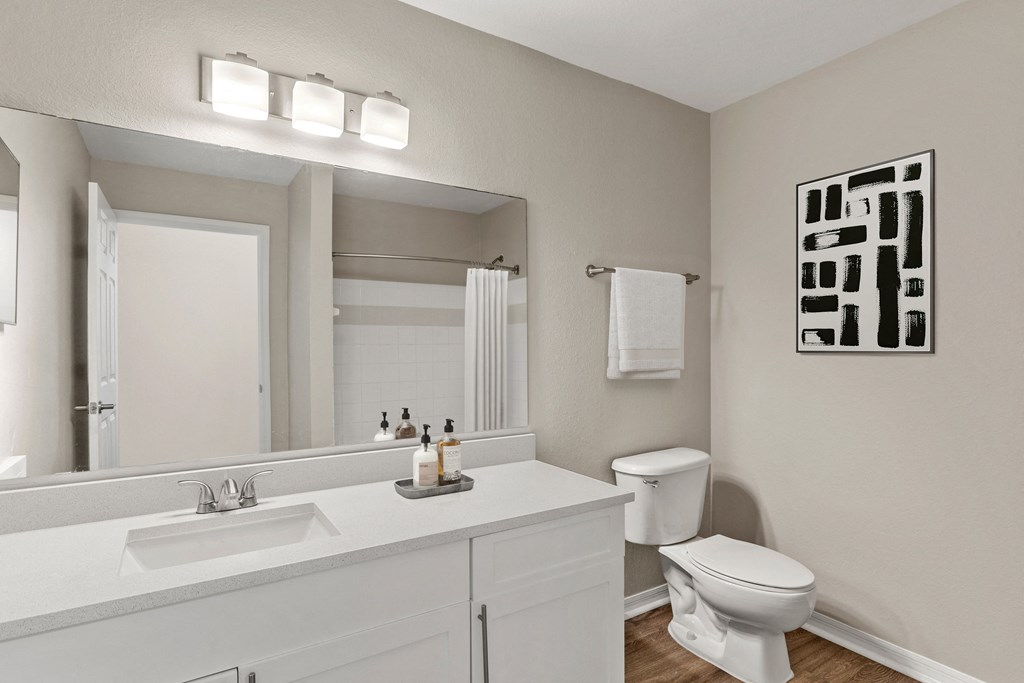 a bathroom with a large mirror and a sink and a toilet