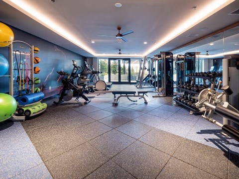 Bell Totem Lake_gym