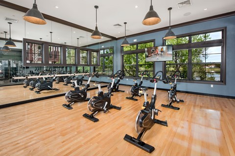 A gym with a row of stationary bikes.