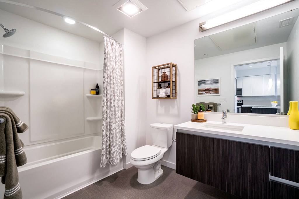 a bathroom with a shower toilet and sink and a mirror