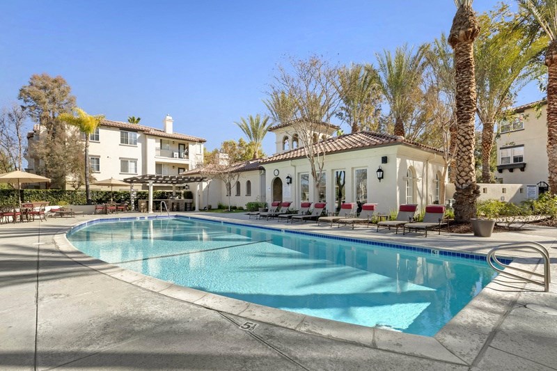the swimming pool at the resort style pool house with palm trees