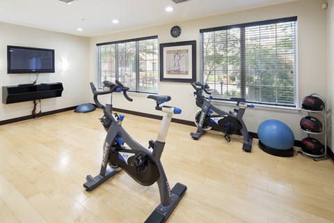 A home gym with a rowing machine, a stationary bike, and a blue exercise ball.