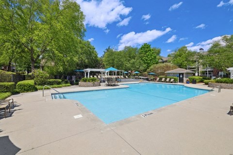 a swimming pool with trees and umbrellas around it
