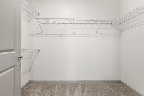 A white closet with a carpeted floor and a door.