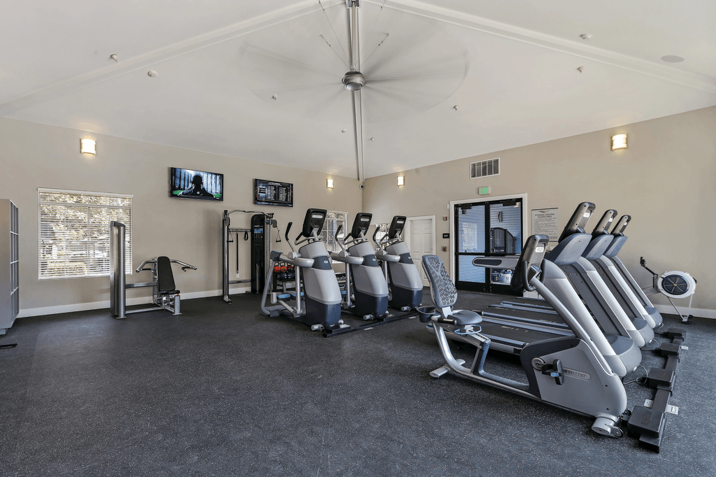 A gym with a variety of equipment including treadmills, stationary bikes, and weight machines.