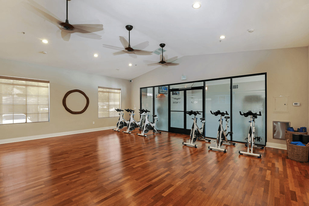 A room with wooden floors and a row of exercise bikes.
