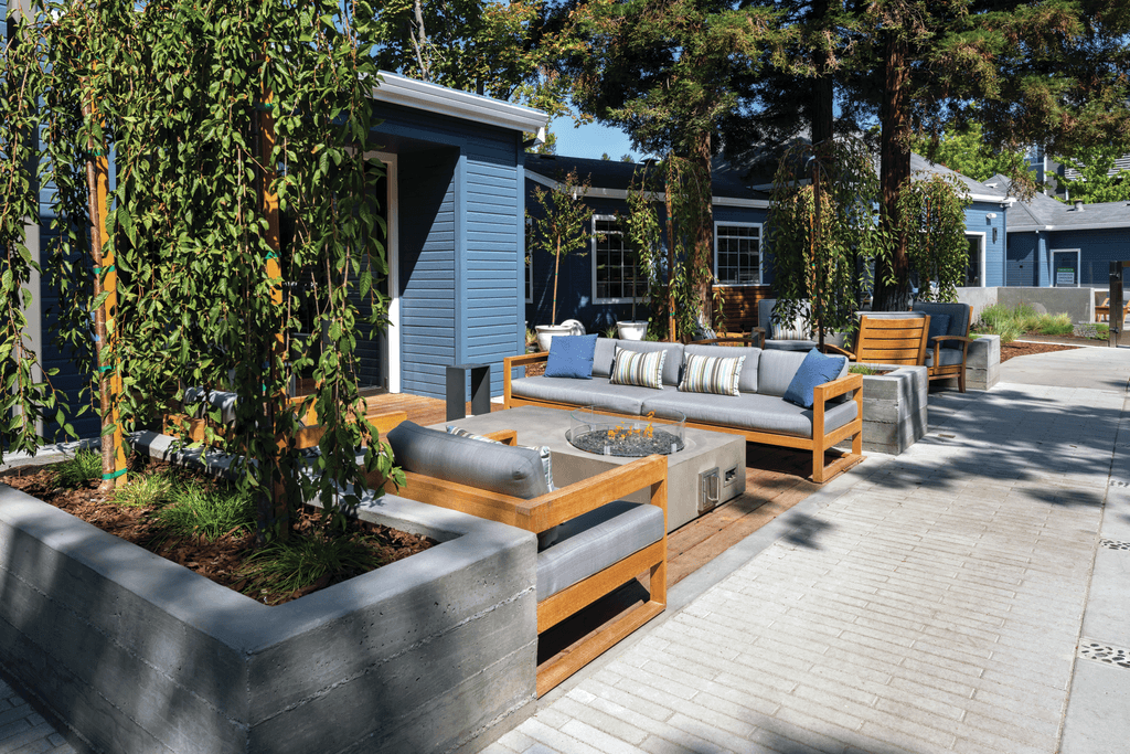 A blue house with a grey couch and a tree in a planter.
