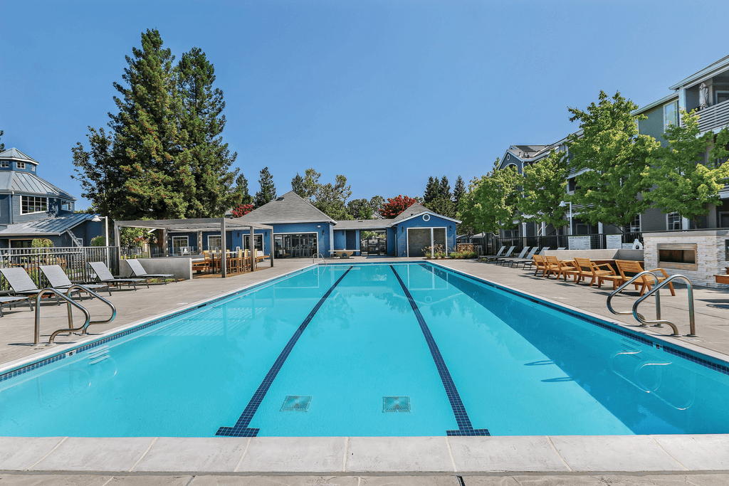 A large blue swimming pool with sun loungers on the side.
