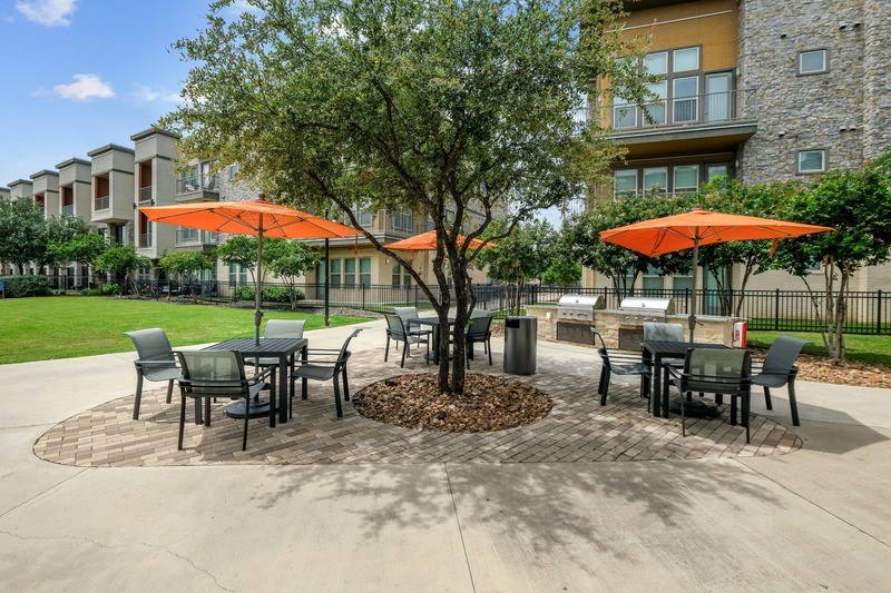 A tree in a courtyard with chairs and umbrellas.