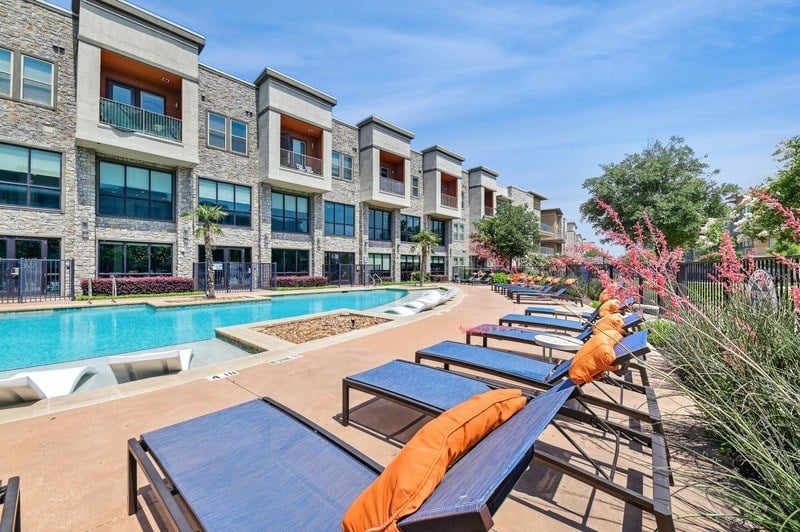 A row of sun loungers are set out on a sunny day.