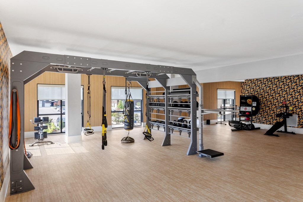 A gym with a variety of equipment including a squat rack, bench, and weights.