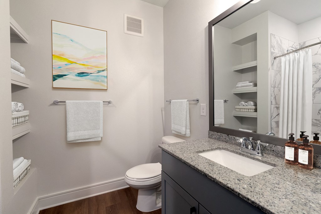 a bathroom with a sink, toilet, and a mirror