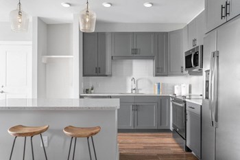 Brand New Apartment Home with Gray Cabinetry - Photo Gallery 2