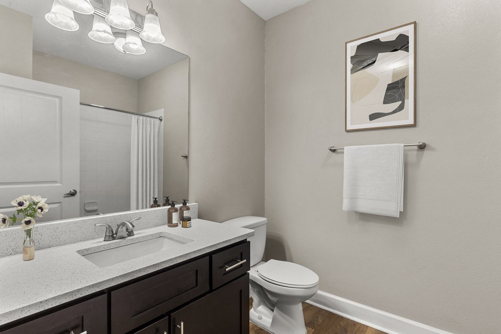 a bathroom with a sink and a toilet and a mirror