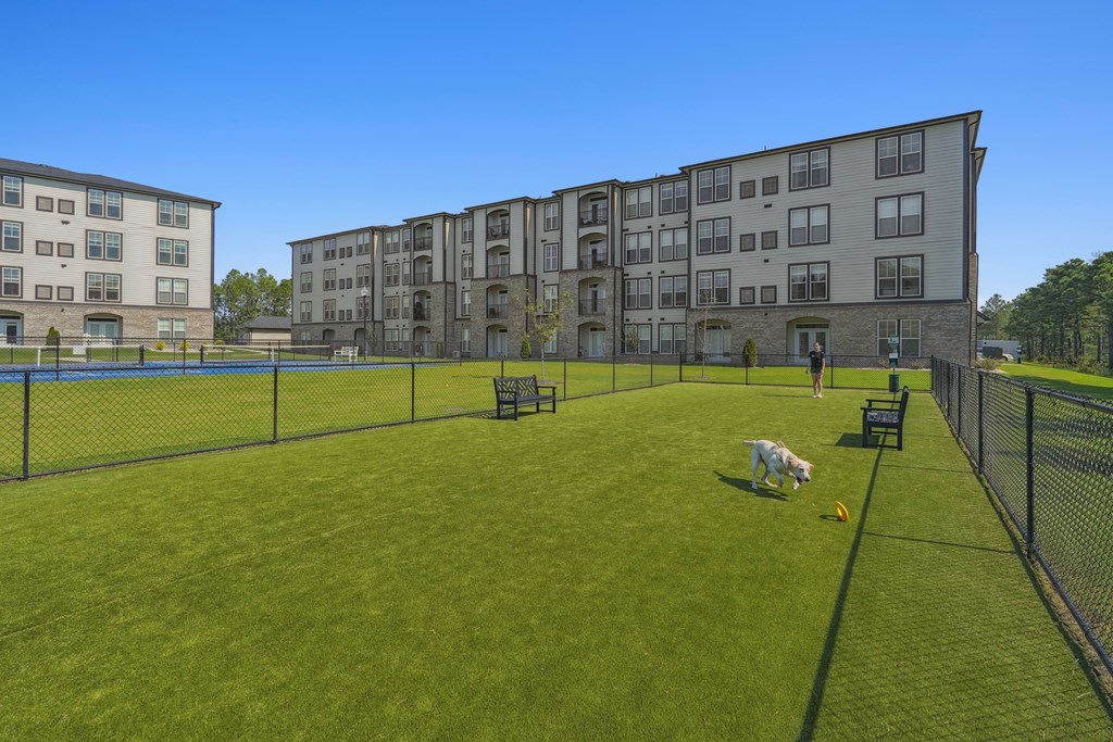 A dog is standing on a green field in front of apartment buildings.