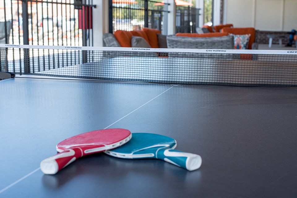 ping pong
