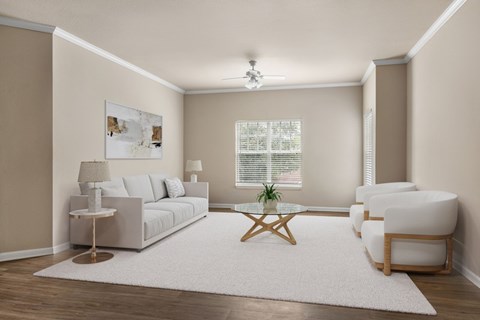 a living room with a white rug and a white couch