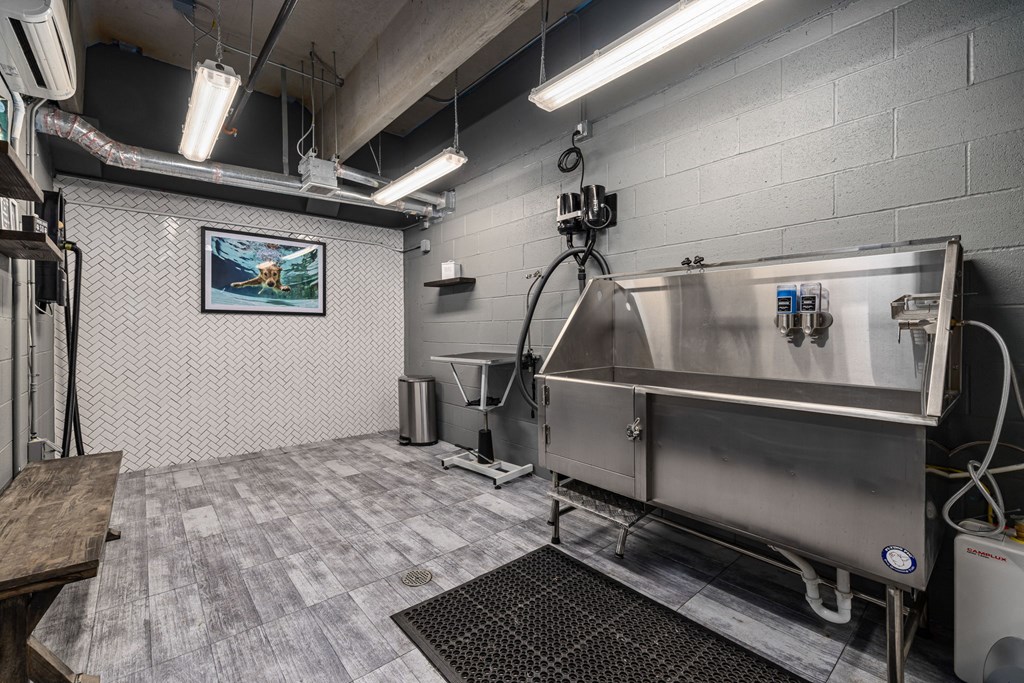 a pet spa with a large stainless steel bathtub