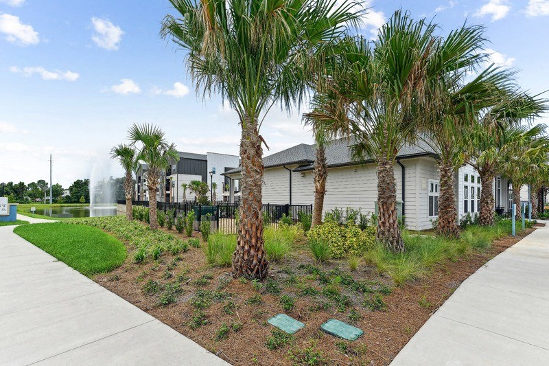 a group of palm trees in front of a building