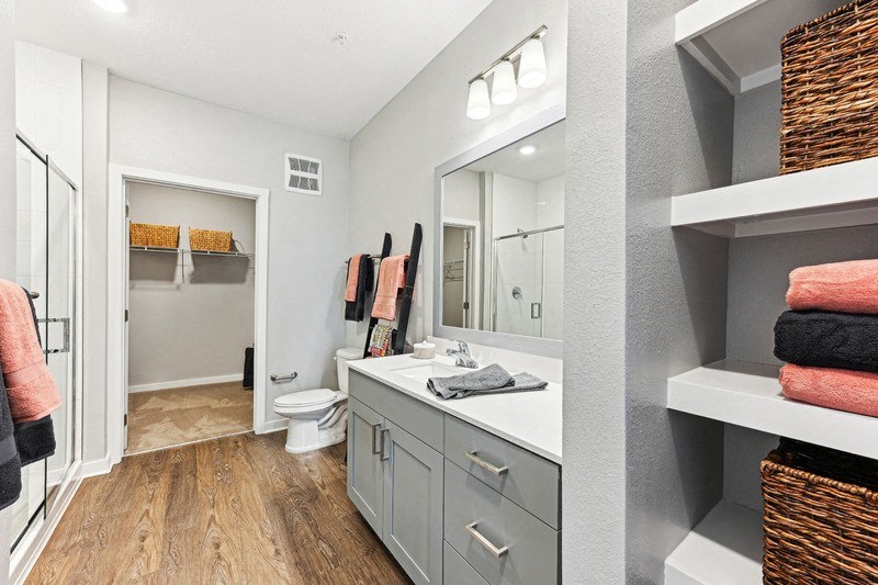 a bathroom with a sink and a toilet and a mirror