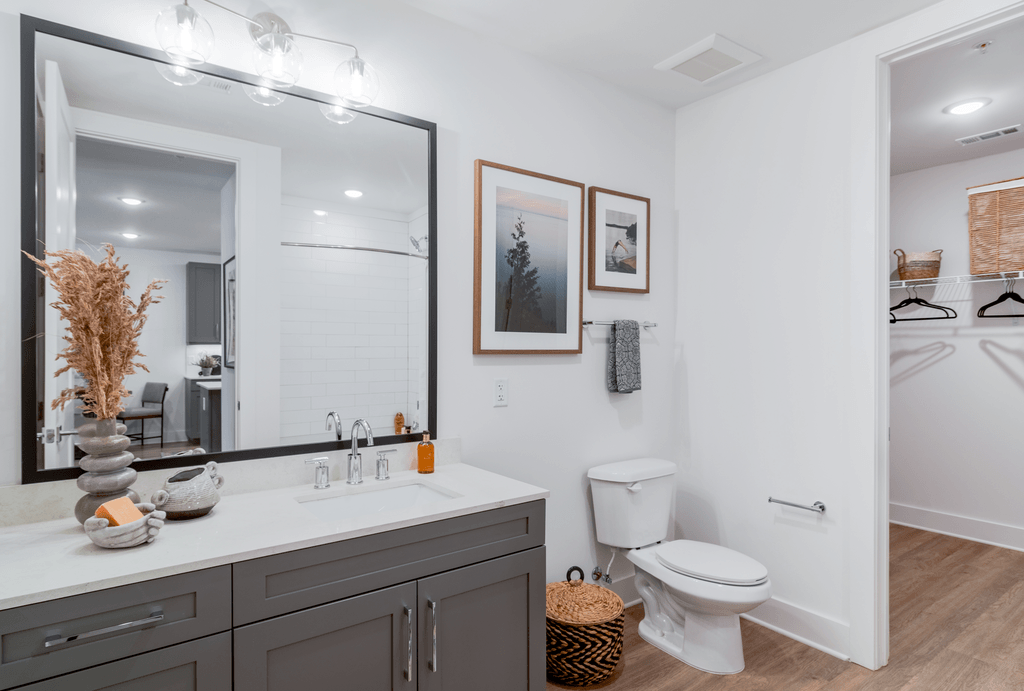 A bathroom with a white toilet and a large mirror above the sink.