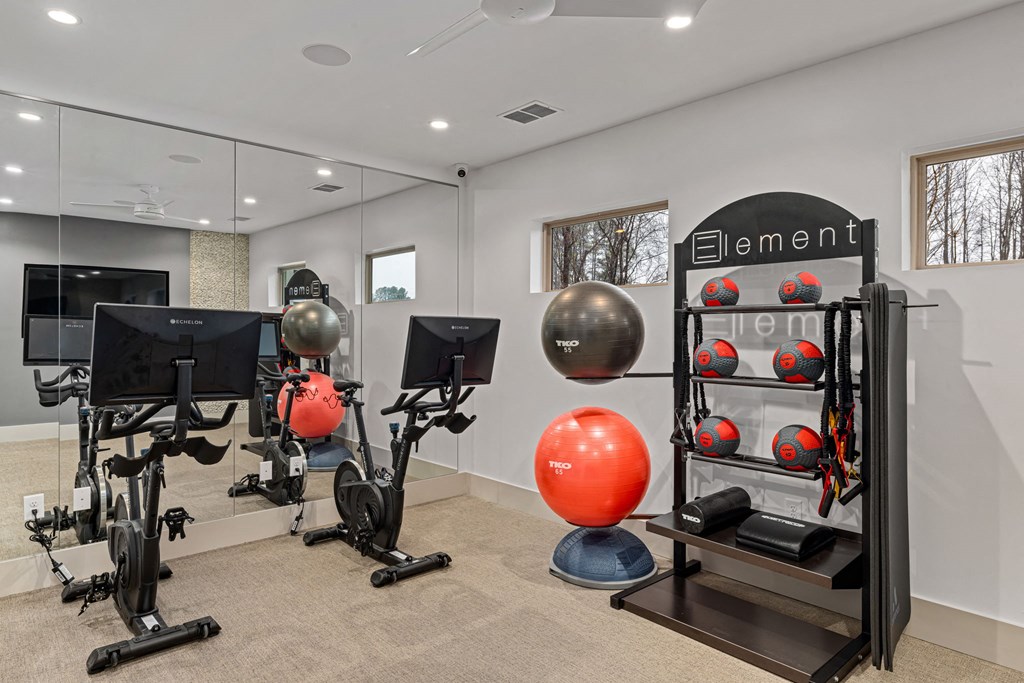 the gym in the owners home is equipped with exercise equipment and weights