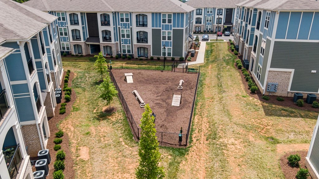 Dog park with obstacles