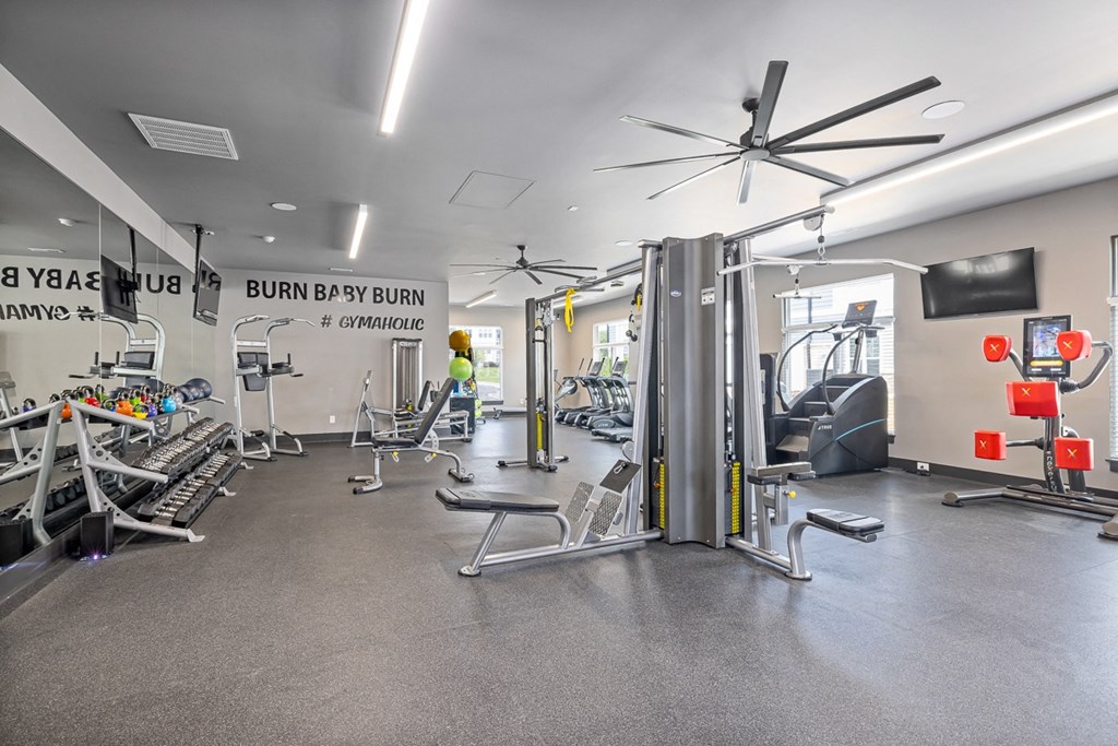 a gym with weights and cardio