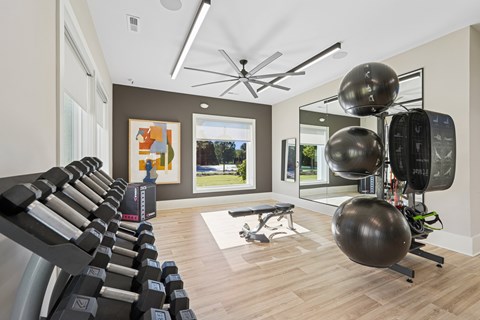 A gym with a row of treadmills, a bench, and exercise balls.