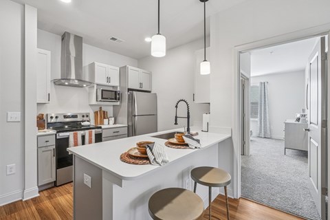 1000 Lassen Drive 2 Beds Apartment for Rent