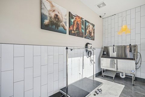 A pet wash room with a sink.