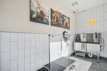 A bathroom with a shower and a sink.
