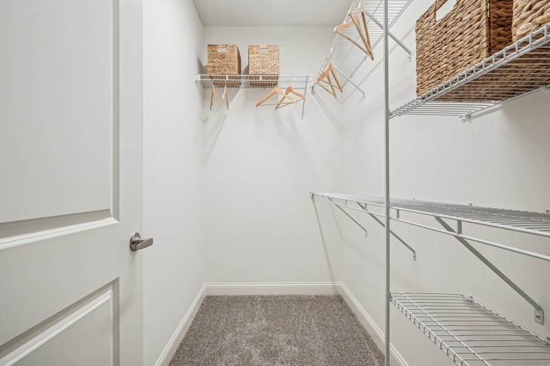 A white hallway with a door and a carpeted floor.