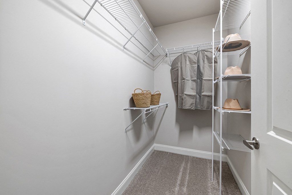 a walk in closet with white walls and a white closet with shelves and a door