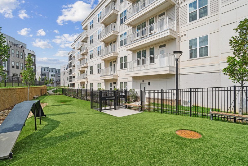 Fenced in grass area with a ramp