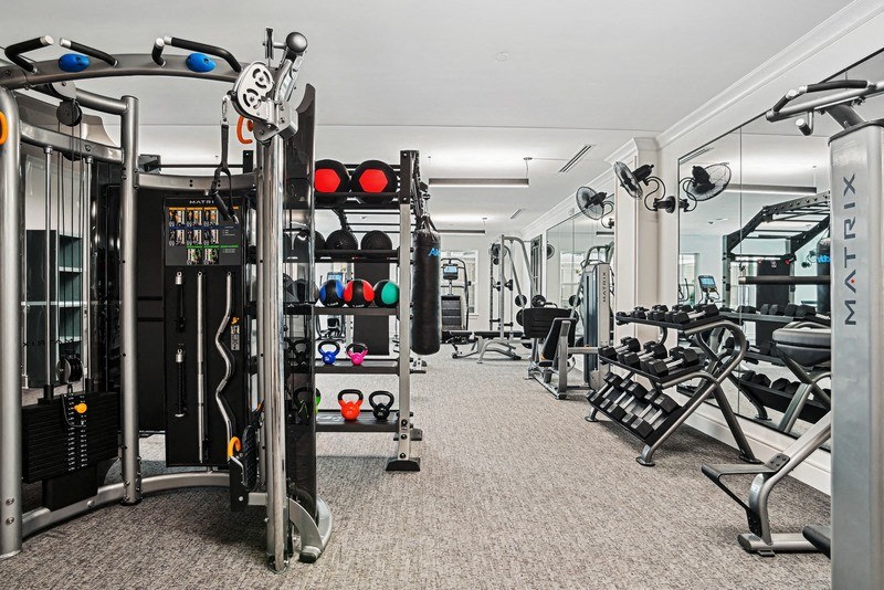 Weight Rack in Fitness Room