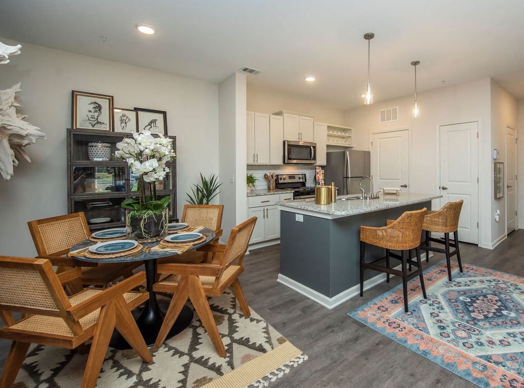 Apartment Kitchen and Dining Area