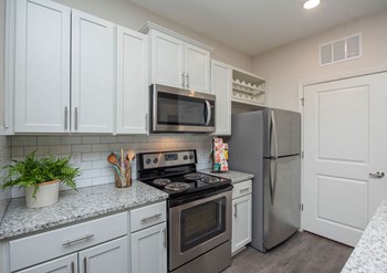 Apartment Kitchen - Photo Gallery 2