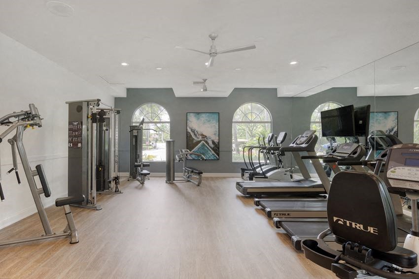 the gym has plenty of cardio equipment and windows